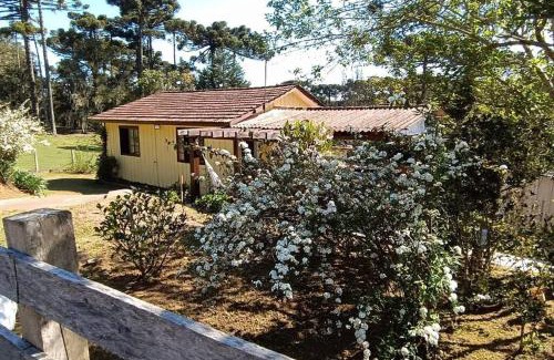 Sao Jose dos Pinhais House | Exceptional Chácara do Sapé: Pet-Friendly Family Retreat