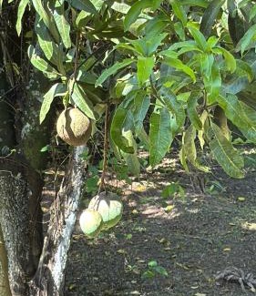 Terra Preta House | Chácara Meu Pedaço Atibaia
