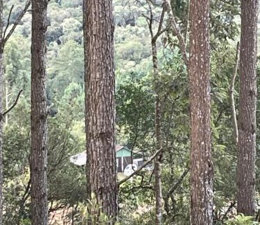 Sao Bento do Sul Other | Cozy Chácara no Bosque: Family-Friendly Getaway Awaits