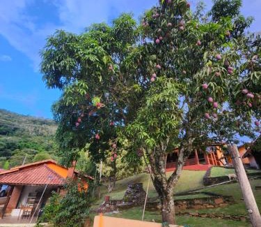 Monte Alegre do Sul Villa | Family-Friendly Escape at Chácara Tedeschi with Pool