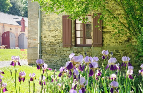Craon House | Elegant L'Orangerie du Château de Craon: Pool & Tennis