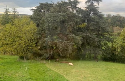 Janze Bed & Breakfast | Discover Family-Friendly Elegance at Château de la Franceule