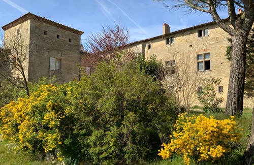 Mezerville Bed & Breakfast | Discover the Pet-Friendly Château de Mézerville - Rated 9.1