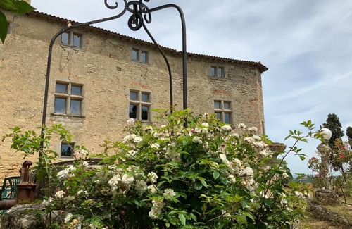 Mezerville Bed & Breakfast | Discover the Pet-Friendly Château de Mézerville - Rated 9.1
