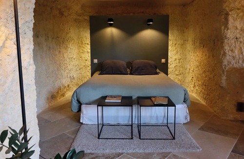 Nazelles-Negron House | Eco-Friendly Château de Nazelles Amboise with Spa & Pool