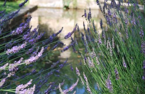 Mouries Hotel | Elegant Retreat at Château de Servanes with Pool & Dining