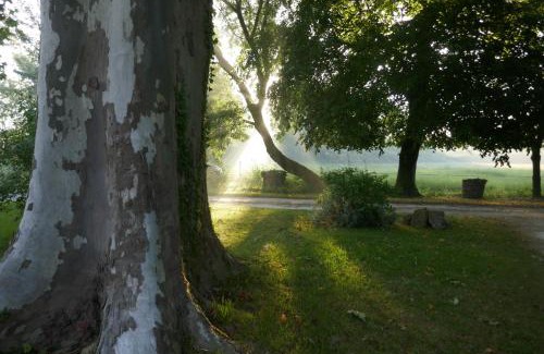 Vertheuil House | Oceanfront Getaway at Château Le Souley - Rated 8.9/10!