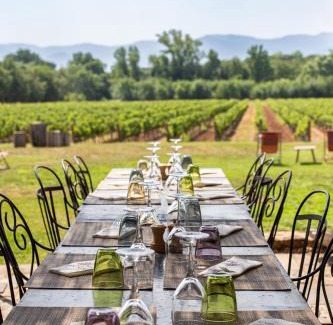 Le Cannet-des-Maures Hotel | Pet-Friendly Escape at Château Saint Roux, Le Cannet des Maures