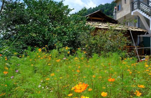 Mu Cang Chai Hotel | Chải Eco Home