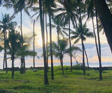 Neeleshwar House | Inviting Chachoos Seaview Homestay with Oceanfront Pool