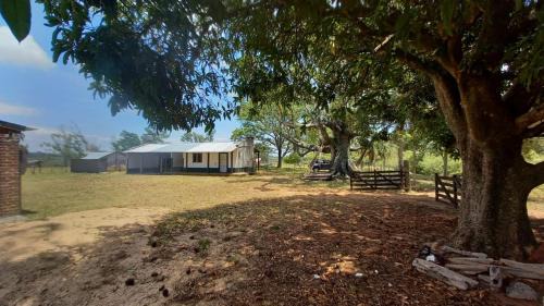 La Cruz House | Relax at Chacra mita í: Oceanfront, Pet-Friendly Retreat