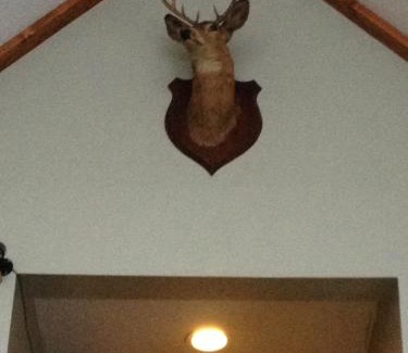 Chaffee Cabin | Cozy Chaffee Lodge with Hot Tub & Breakfast Included