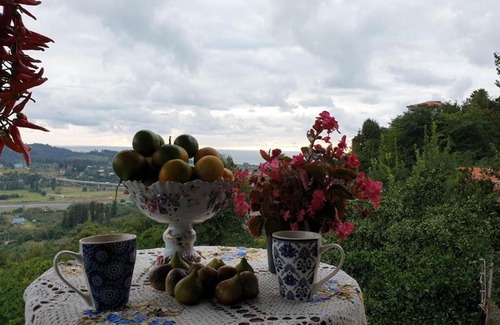 Gorgadzeebi House | Perfect Getaway at Chakvi View Guest House - Pet Friendly!