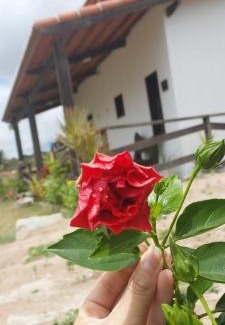 Serra de Sao Bento Hotel | Pet Friendly Retreat at Chalé bons ventos - Rated 9.5/10
