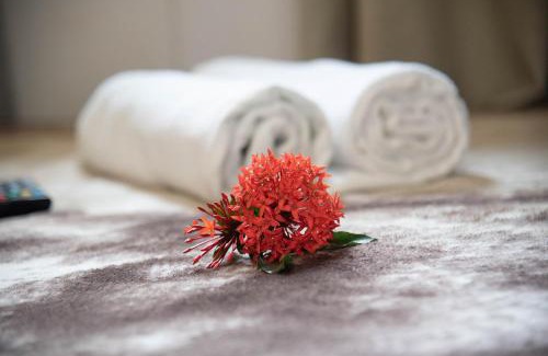 Nobres House | Chalé Container Nobres: Pet-Friendly Retreat with Spa