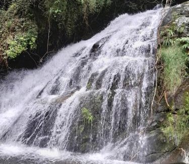Nova Friburgo House | Pet-Friendly Chalé das Montanhas with Private Waterfall Retreat