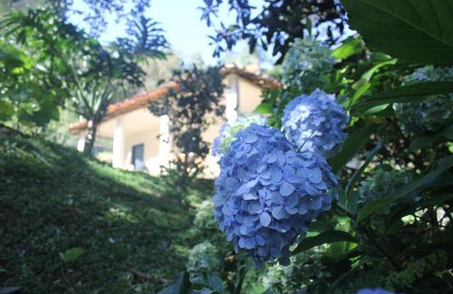 Ouro Preto Cabin | Forest Retreat with Kitchen and Pet-Friendly Amenities