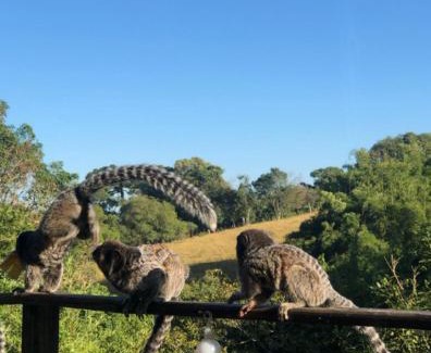 Piedade Ski Chalet | Pet-Friendly Retreat at Chalé No Mundo da Lua