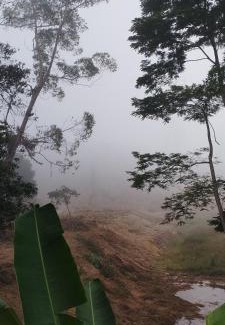 Santa Teresa Cabin | Chalé Recanto da Chiquinha