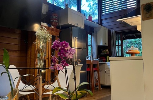 Mairipora Ski Chalet | Pet-Friendly Chalé Sete Estrelas with Spa and Hot Tub