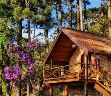 Sao Bento do Sapucai Cabin | Discover Chalés Araucária e Manacá: Family-Friendly Retreat