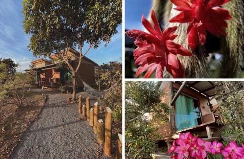 Cavalcante Cabin | Discover Chalés Aurora: Family-Friendly Retreat with Pool