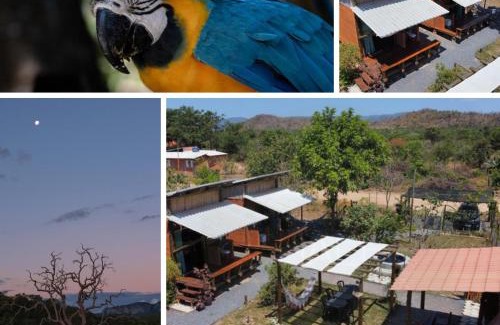 Cavalcante Cabin | Discover Chalés Aurora: Family-Friendly Retreat with Pool