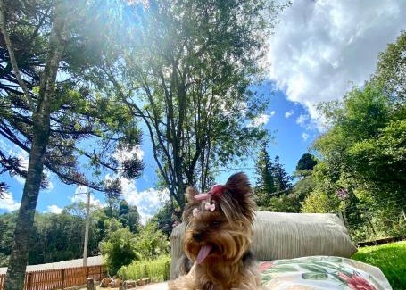 Sao Francisco de Paula Cabin | Discover Chalés da Serra: Pet Friendly with Hot Tub Bliss