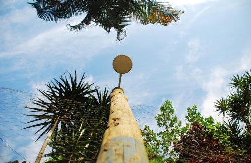 Praia Grande Cabin | Pet-Friendly Chalés na Mata Ubatuba with Ocean View