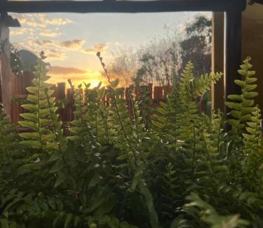 Pirenopolis Cabin | Pet-Friendly Chalés na Roça: Guest Rated 9.6/10