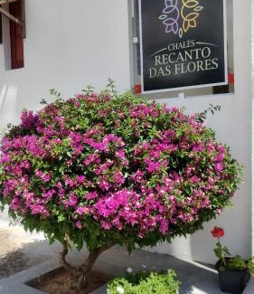 Monte das Gameleiras House | Guest Rated: 9.6 at Chalés Recanto das Flores RN