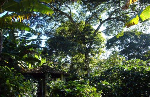 Ubajara National Park Hotel | Family-Friendly Chalés Sítio do Alemão with Top Ratings