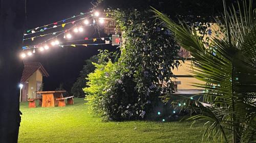 Bananeiras Cabin | Pet-Friendly Chalés Samambaia with Pool & Family Vibes