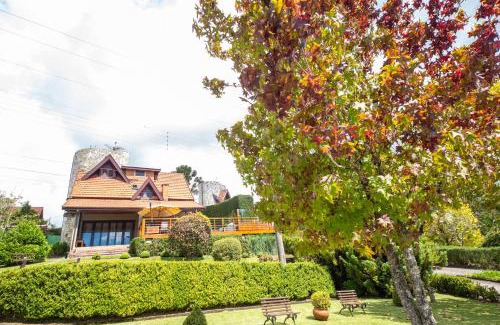 Jardim Andira Ski Chalet | Discover Chale dos Sonhos: 10/10 Rating & Cozy Amenities