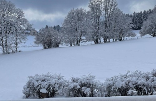 Le Tholy Ski Chalet | Pet-Friendly Chalet for 10 with a Guest Rating of 9.8