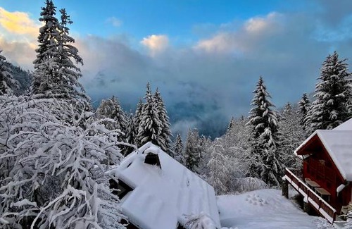 Oz Ski Chalet | Chalet 14 personnes Alpe d Huez