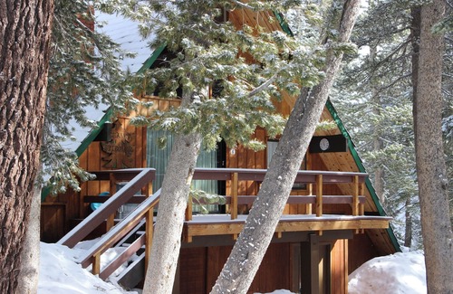 Mammoth Lakes Ski Chalet | Chalet #23: Ski In/Out with Pet Friendly Amenities