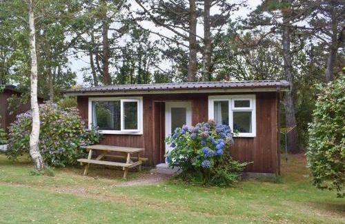 Mount Hawke House | Inviting Chalet 3 - Perfect for Families and Pets