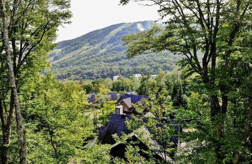 Stoneham Ski Chalet | Relax at Chalet 9A Chemin Blanc with Hot Tub & Pet Access