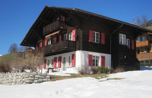 Grindelwald Apartment | Exceptional Chalet Aiiny - Guest Rated 9.6/10 Experience