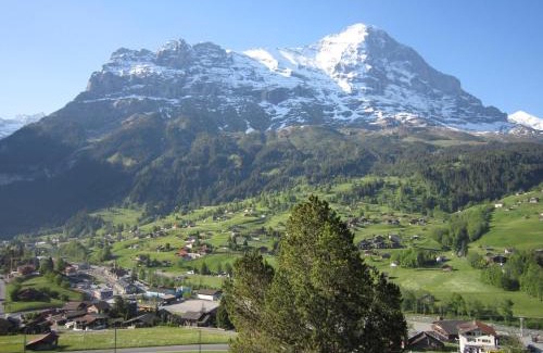 Grindelwald Apartment | Exceptional Chalet Aiiny - Guest Rated 9.6/10 Experience