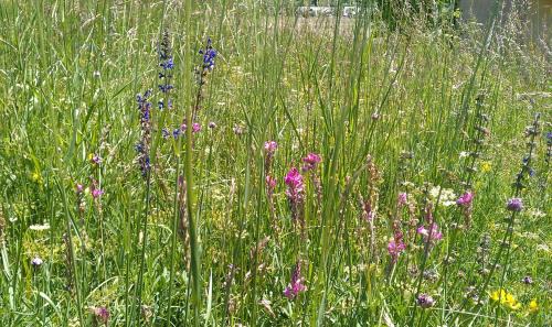 Monetier-les-Bains Apartment | Chalet Apartment Monêtier: Family-Friendly with Pool & Hot Tub
