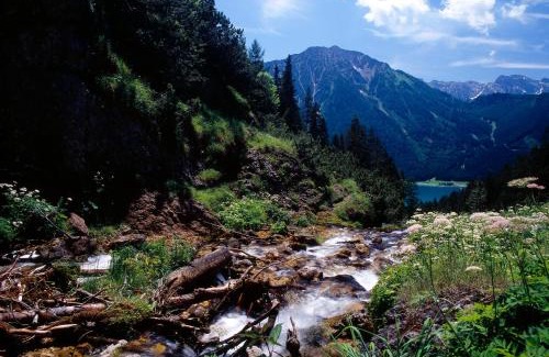 Achenkirch Apartment | Pet-Friendly Chalet & Apartments Tiroler Bua - 4 Star Retreat