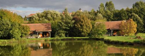 Chateau-Voue House | Peaceful Chalet by the Pond near Educational Farm