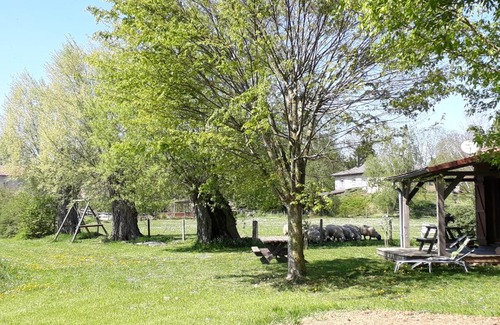 Chateau-Voue House | Peaceful Chalet by the Pond near Educational Farm