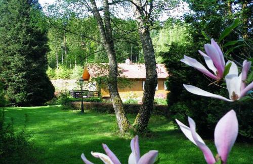 Saint-Quirin Ski Chalet | Cozy Chalet by the Water - Perfect for Families and Pets