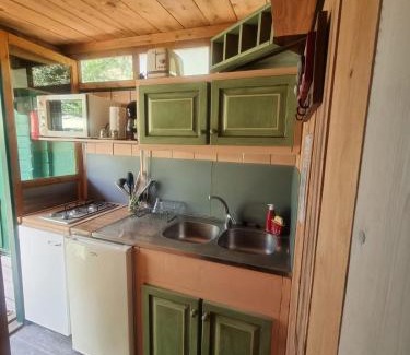 Bagnols-en-Foret Ski Chalet | Cozy Chalet with Private Pool Surrounded by Nature