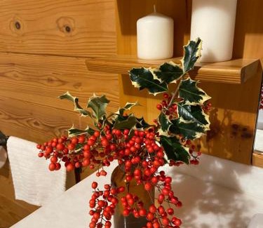 Crevalcore Ski Chalet | Pet-Friendly Chalet B&B Laghetti Martina with Hot Tub & Dining