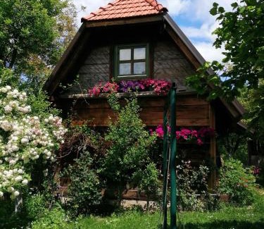 Uzice Ski Chalet | Pet-Friendly Chalet Belino with Hot Tub & Top Reviews