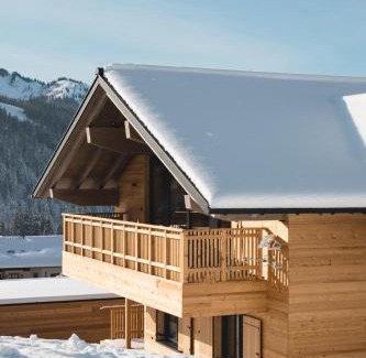 Balderschwang Apartment | Exceptional Chalet BergInsel with Ocean View & Spa Access